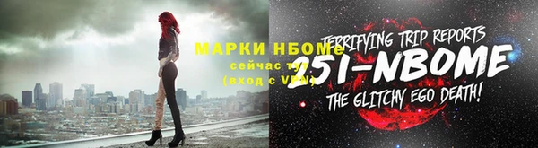 индика Покачи