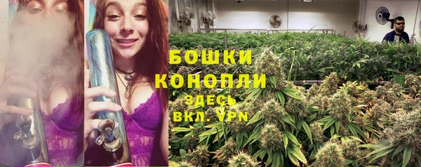 шишки Покров